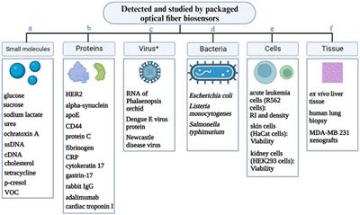 Unpacking the packaged optical fiber bio-sensors: understanding the obstacle for biomedical application